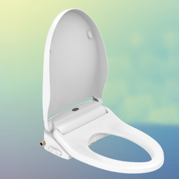 Onewell Elongated Toilet Seat Bidet Wayfair